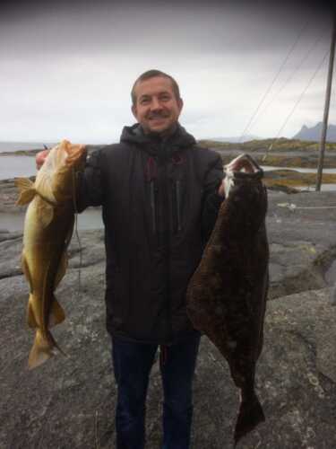 Kveite fisket fra land på Tranøy fyr